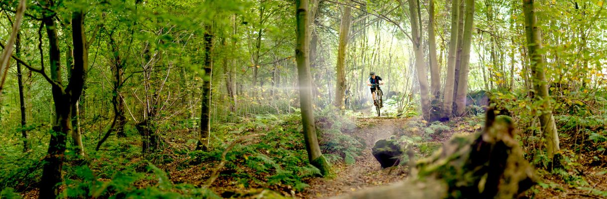 A mountain biker navigates a winding trail through the Isle of Wight forest